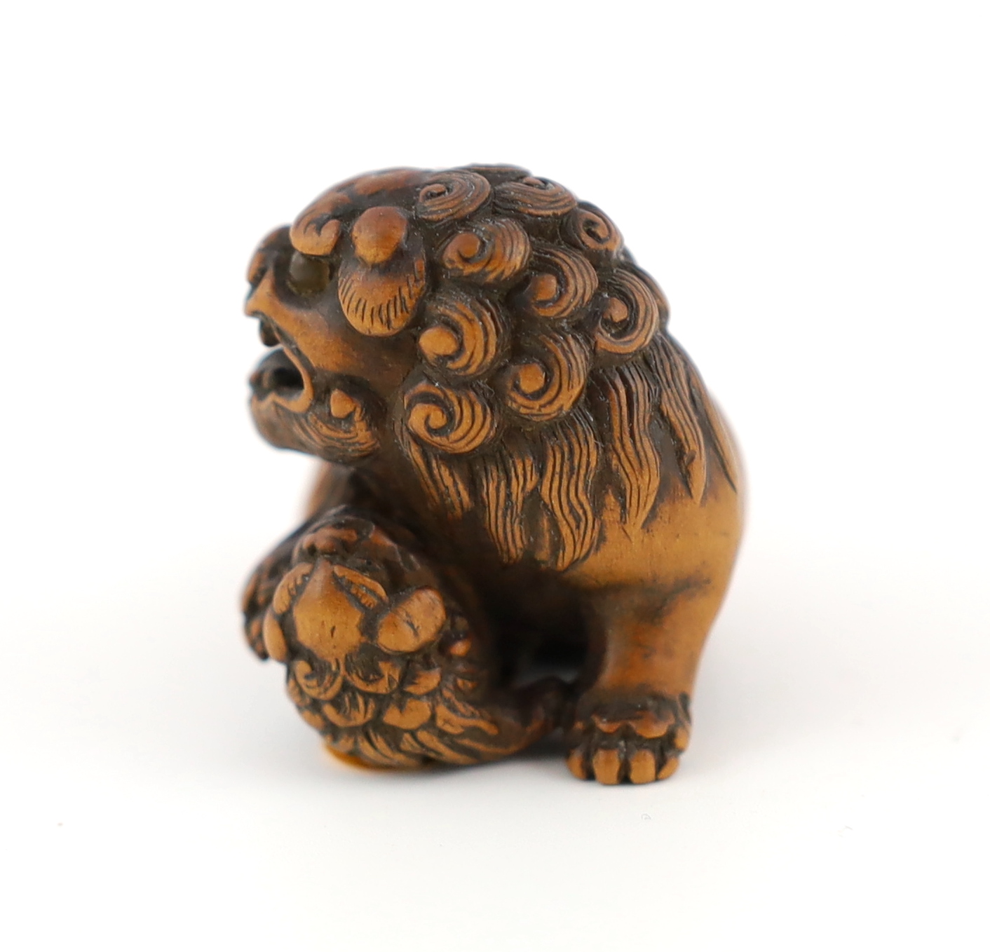 A Japanese carved wood netsuke of a recumbent Shi-Shi, signed Toyomasa?, late 18th century